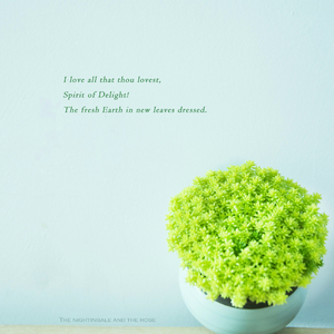 美女露露BBBBBB视频
